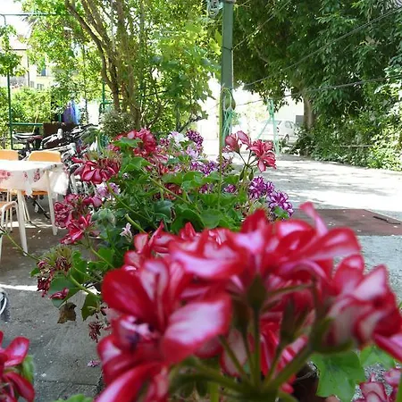 Apartament Luna Drvenik (Split-Dalmatia)